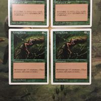 MTG マジックザギャザリング カード まとめ 5ED 生きている大地/Living Lands 4枚セット 124 サムネイル 2