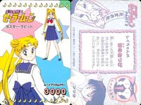 カード セーラームーン 6種 まとめ 59 81 70 79 71 87 天田 アマダ サムネイル 2