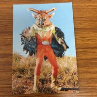 Kamen Rider Card Lot Japanese Anime TCG Trading Cards サムネイル 5