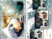 カード 花帰葬 まとめ No 15 36 45 46 47 50 52 53 54 初版 フロンティアワークス サムネイル 10