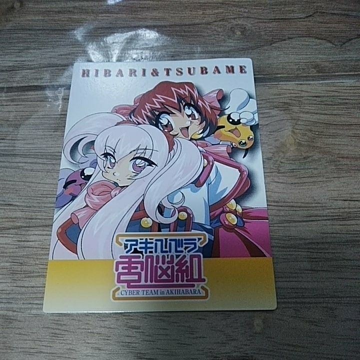 Akihabara Dennou Gumi Card Promo Non-Sale Vintage