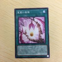 遊戯王 ノーマル カード トレーディングカード 聖蔓の播種 まとめ サムネイル 2