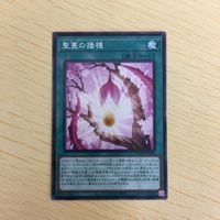 遊戯王 ノーマル カード トレーディングカード 聖蔓の播種 まとめ サムネイル 3