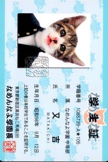 カード なめんなよ 又吉 猫 SATORU TSUDA 学生証