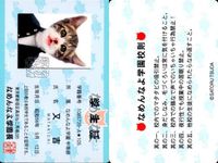 カード なめんなよ 又吉 猫 SATORU TSUDA 学生証 サムネイル 2
