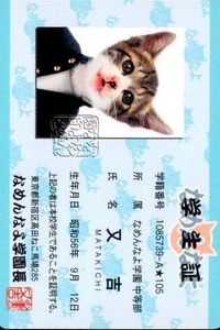 カード なめんなよ 又吉 猫 SATORU TSUDA 学生証 サムネイル 1