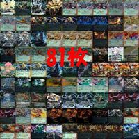 Battle Spirits Battlespi Card Lot X All X Holo