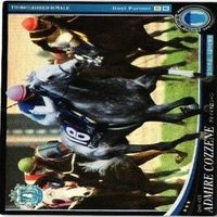 ヒシアマゾン アドマイヤコジーン スリーロールス オーナーズホース サラブレッドロワイアル カード まとめ サムネイル 3
