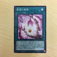 遊戯王 ノーマル カード トレーディングカード 聖蔓の播種 まとめ サムネイル 2