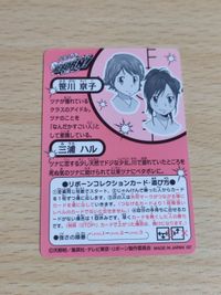 リボーンコレクションカード 家庭教師ヒットマンリボーン 三浦ハル 笹川京子 水着 サムネイル 2