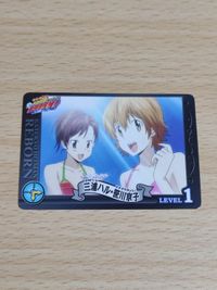 Reborn Collection Card Haruno/Kyoko Swimsuit