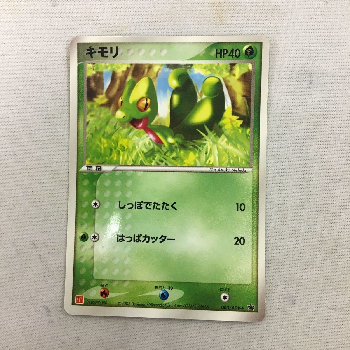 ポケモンカード 新裏面 プロモ キモリ 21