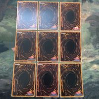 遊戯王 カード まとめ DNA改造手術 14 サムネイル 5