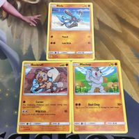 ポケモンカード 旧裏面 英語 海外版 3枚 リオル イワンコ ワンリキー 13