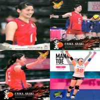 カード 【状態B】 女子 バレーボール スポーツ 火の鳥 まとめ 荒木 絵里香 戸江 真奈 サムネイル 1