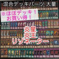 炎星 炎王 リゾネーター ほぼデッキ！ 混合デッキパーツ 大量 まとめ 遊戯王 構築済みデッキ