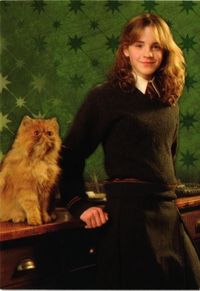 【状態B】ハーマイオニー ハリーポッター エボリューション PANINI パニーニ カード
