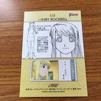 鋼の錬金術師 ハガレン カード トレカ カードダスマスターズ まとめ ウィンリィ ロックベル 19 サムネイル 8