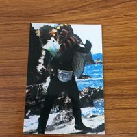 仮面ライダー カード まとめ 43 サムネイル 3