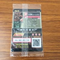 未開封 まとめ 神羅万象 カード 亡国のアポロ 炎爪鳥神 フレイムクロウ 炎邪聖騎士 アグニエル レア キラ 36 サムネイル 6