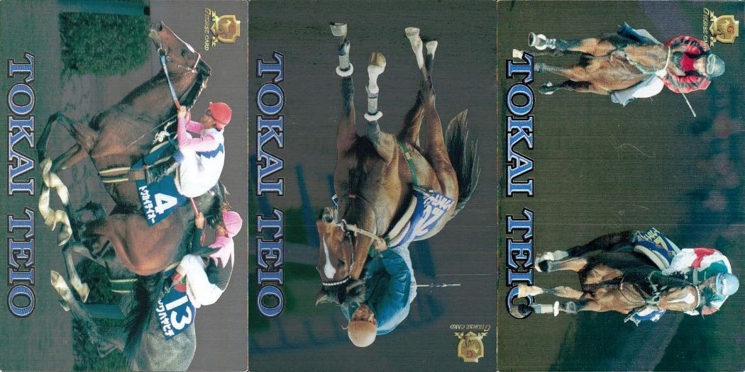 競馬 カード トウカイテイオー まとめ キラ ホロ G ホースレーシング サラブレッドカード