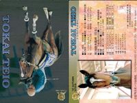 競馬 カード トウカイテイオー まとめ キラ ホロ G ホースレーシング サラブレッドカード サムネイル 3