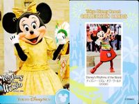 ディズニー コレクション カード まとめ Disney's Rhythms of the World 
ディズニー・リズム・オブ・ワールド 東京 ディズニーリゾート ディズニー DISNEY ミッキー サムネイル 3