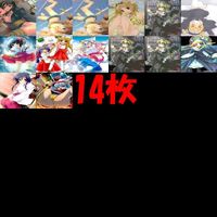 カード とらのあな カード 非売品 まとめ 美少女 大感謝祭 プロモ _1999