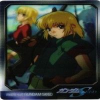 【状態B】ガンダムシード 森永 クリアカード カガリ アスラン ミーアキャンベル シン カード まとめ サムネイル 10