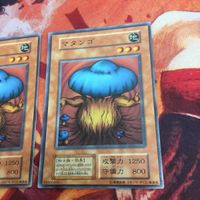 スタジオ・ダイス版 YK221108-386 マタンゴ 初期 遊戯王 2枚 まとめ クシャトリラ 対策 サムネイル 3