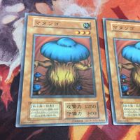 スタジオ・ダイス版 YK221108-386 マタンゴ 初期 遊戯王 2枚 まとめ クシャトリラ 対策 サムネイル 2