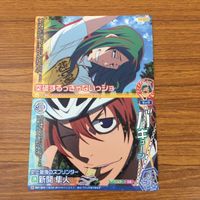 トレカ カード まとめ 弱虫ペダル トレペダ 新聞 隼人 鳴子 章吉 泉田 塔一郎 杉元 照文 真波 山岳 39 サムネイル 7