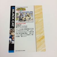 ジャンプフェスタ カード まとめ 2001 2004 BLACK CAT 矢吹 健太郎 27 サムネイル 6