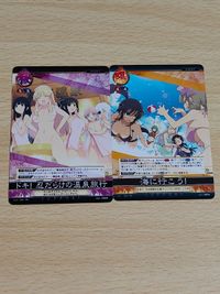 閃乱カグラ TCG カード ドキ！忍だらけの温泉旅行 アンリミテッドヴァーサス PR S007 海に行こう！ 009