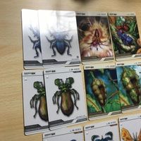 交渉歓迎 ca5-31 カード レポートex Report EX カードダス 昆虫 カブトムシ 0520 サムネイル 3