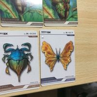 交渉歓迎 ca5-31 カード レポートex Report EX カードダス 昆虫 カブトムシ 0520 サムネイル 4