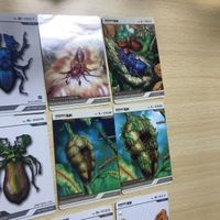 交渉歓迎 ca5-31 カード レポートex Report EX カードダス 昆虫 カブトムシ 0520 サムネイル 2