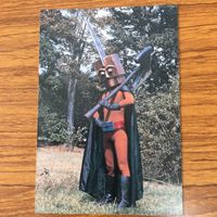 変身ヒーロー スナック カード まとめ 秘密戦隊 ゴレンジャー 20 サムネイル 6