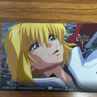 ガンダム SEED DESTINY カード ダス マスターズ カード まとめ シン アスカ キラ ヤマト ステラ 17 サムネイル 6