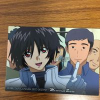 ガンダム SEED DESTINY カード ダス マスターズ カード まとめ シン アスカ キラ ヤマト ステラ 17 サムネイル 5