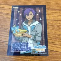 クリア カード トレカ まとめ あんさんぶるスターズ あんスタ 乙狩 アドニス 23 サムネイル 3