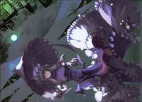 toho-36 カード 東方 雅華乱舞 美少女 交通安全 八雲 紫 ９時 キラ サムネイル 1