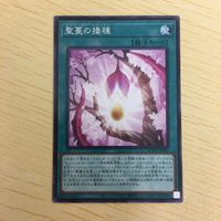 遊戯王 ノーマル カード トレーディングカード 聖蔓の播種 まとめ サムネイル 4