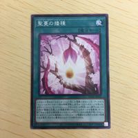 遊戯王 ノーマル カード トレーディングカード 聖蔓の播種 まとめ サムネイル 3