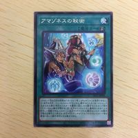 遊戯王 字レア カード トレーディングカード アマゾネスの秘術 まとめ サムネイル 7
