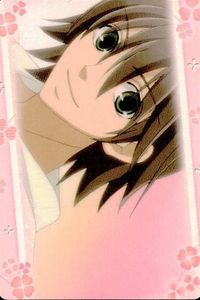 カード 純情ロマンチカ ロマンチカ まとめ No 16 中村春菊 ムービック MOVIC サムネイル 1