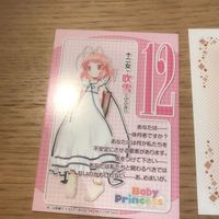 希少 非売品 ベイビープリンセス baby princess カード まとめ ヒカル 綿雪 吹雪 1022 サムネイル 5