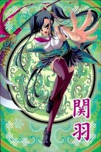 カード 恋姫無双 三国志 キラ R 関羽 張飛