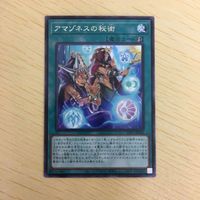 遊戯王 字レア カード トレーディングカード アマゾネスの秘術 まとめ サムネイル 3