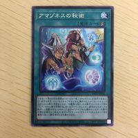 遊戯王 字レア カード トレーディングカード アマゾネスの秘術 まとめ サムネイル 4